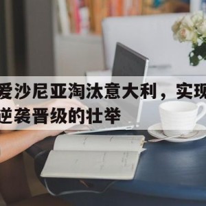 大发娱乐平台-关于爱沙尼亚淘汰意大利，实现逆袭晋级的壮举的信息